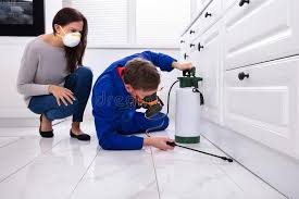 Best Pest Exclusion Services  in Lake Holiday, IL